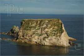 Clett
