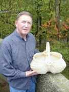 mammothcavebasketmakers.com Clevie
