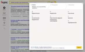 seopro.ru Clinica