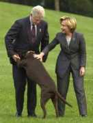 funscrape.com Clintons