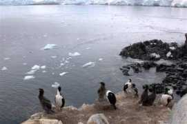 antarcticsun.usap.gov Cliss