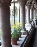 debacle.org Cloister