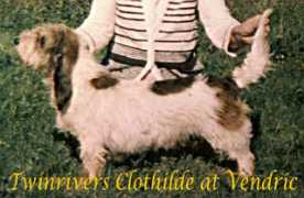 okusgoldens.com Clothide