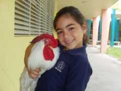 humaneeducatorsreachingout.com Clucky