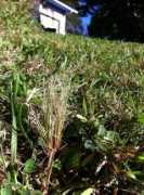 gath.co.nz Clump