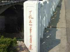 Cnsf