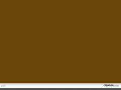 colourlovers.com Coacoa