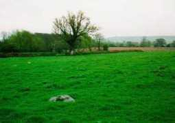 Coate