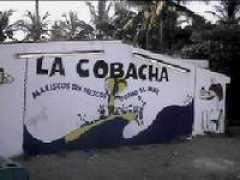 one-world.org Cobacha