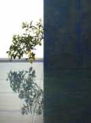 architetturadipietra.it Cobal