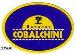 digilander.libero.it Cobalchini