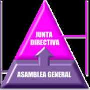 Cobalea