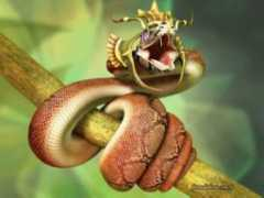 Cobra