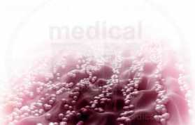 Cocci