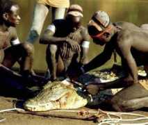 ilcornodafrica.it Coccodrillo