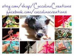 myminipetpig.com Coccolino