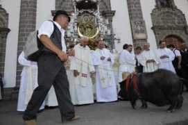 canarias7.es Cochino