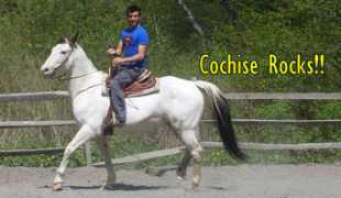 Cochis