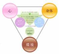 bi-bex.co.jp Cocoroco