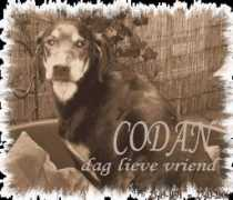 blackbulldog.nl Codan