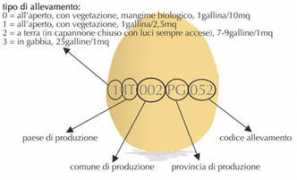 Codica