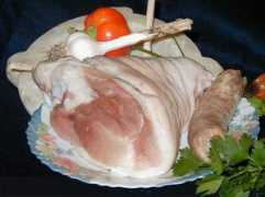 pasqualinonet.com.ar Codillo