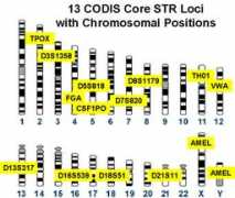 medicine.jrank.org Codis