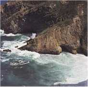 Coella
