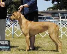aegisridgebacks.com Cofia