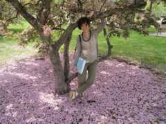 kellogg.nd.edu Cohorst