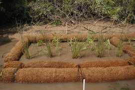 austintexas.gov Coir
