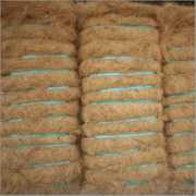 mngtraders.tradeindia.com Coir
