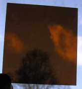 marriottworld.com Cokina