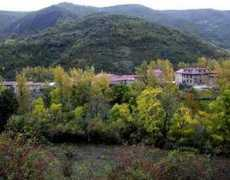 Coladilla
