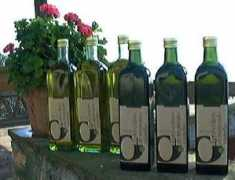 aziendadelborgo.com Colato