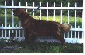 Colby