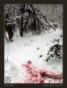 Coldblood