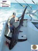 marktheshark.com Coletti