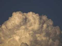 blogs.diariosur.es Coliflor