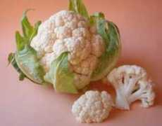 fichas.infojardin.com Coliflores