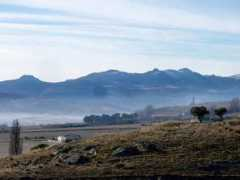 panoramio.com Colilla