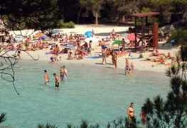 menorca.info Colillas