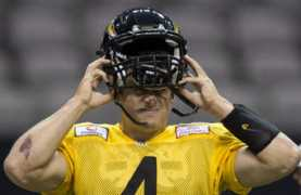Collaros