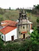 Collia