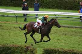 stallallegra.ch Collow