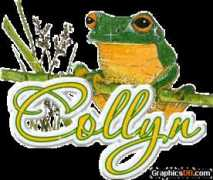 Collyn