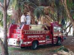 entornointeligente.com Colmeia