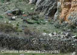 lygeum.es Colmena