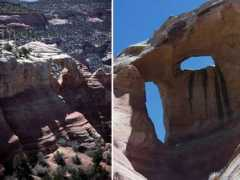 naturalarches.org Coloc