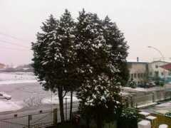 Cologno